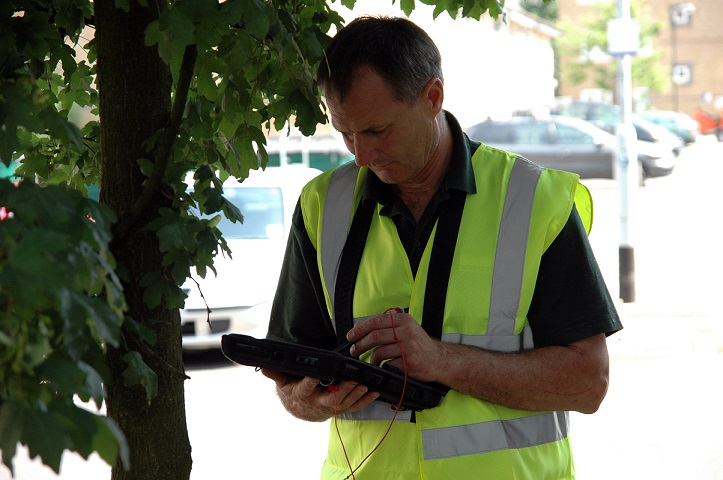 Tree surveying as a step up the ladder
