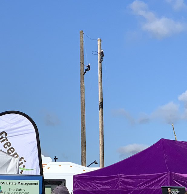 Pole climbing