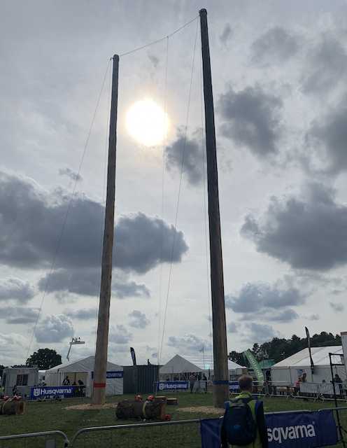 Poles in the sun
