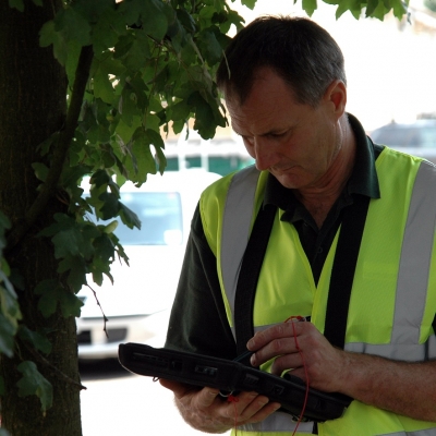 Tree inspecting