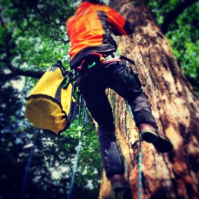 Win an Arb Course! Thinking forward to when you down tools? This will help...
