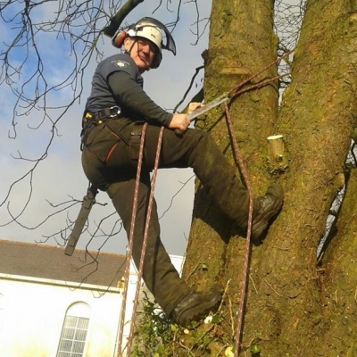 Arborealist Climbing
