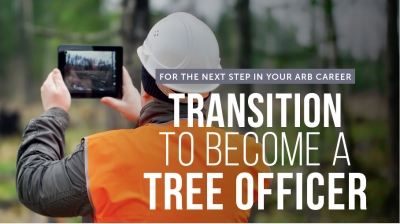So you want to be a Tree Officer?